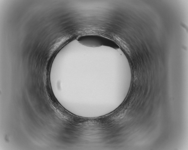 X0000095900578200802081142