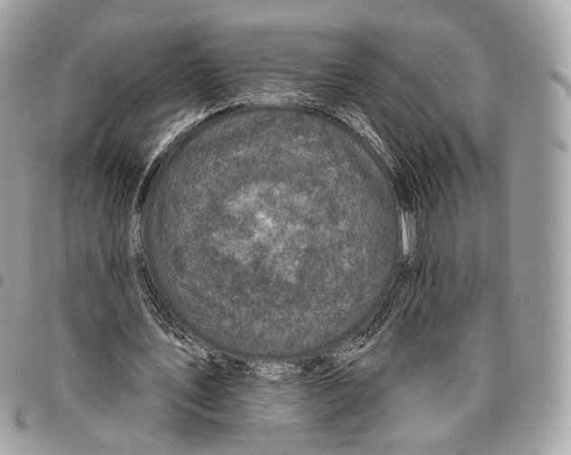 X0000095900579200802081142