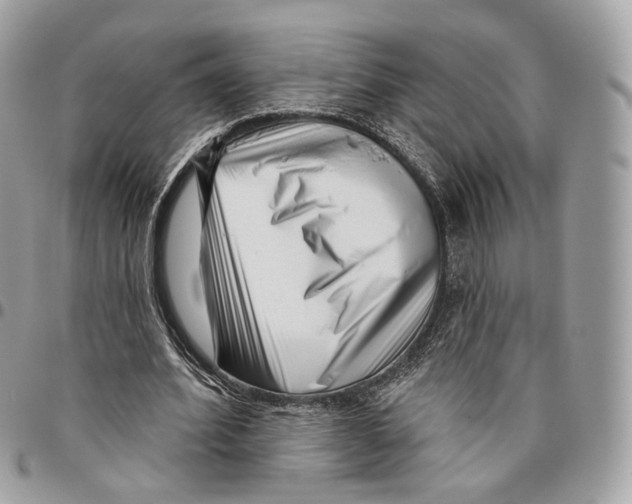 X0000095900580200802081142