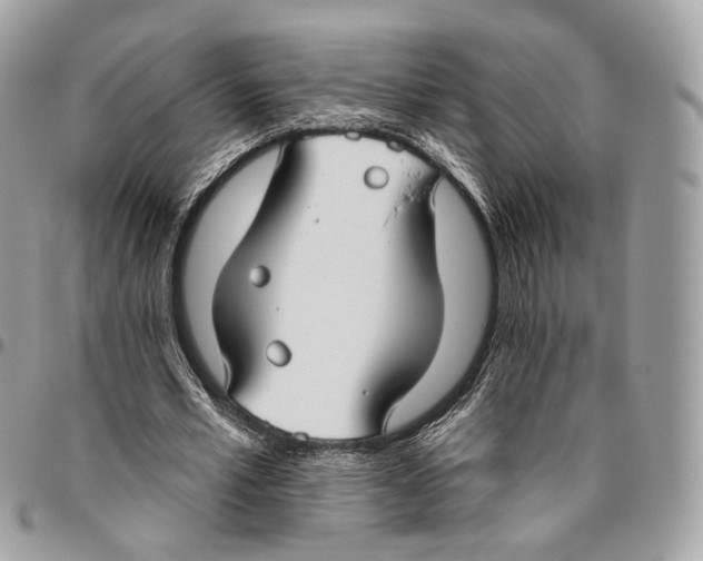 X0000095900581200802081142