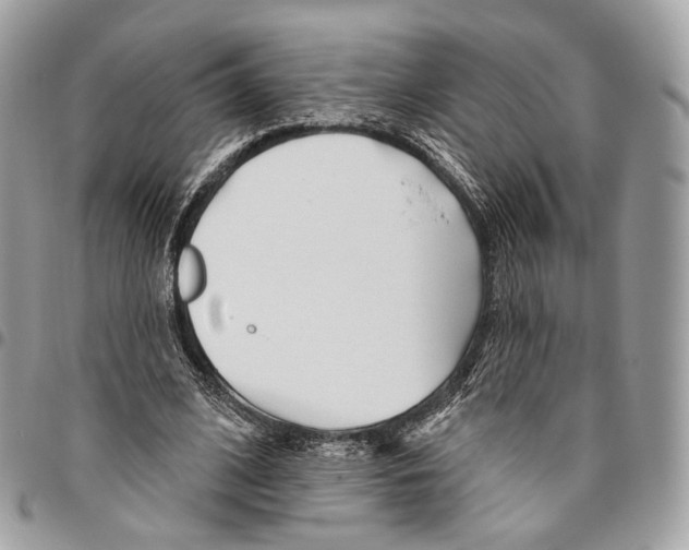 X0000095900584200802081142