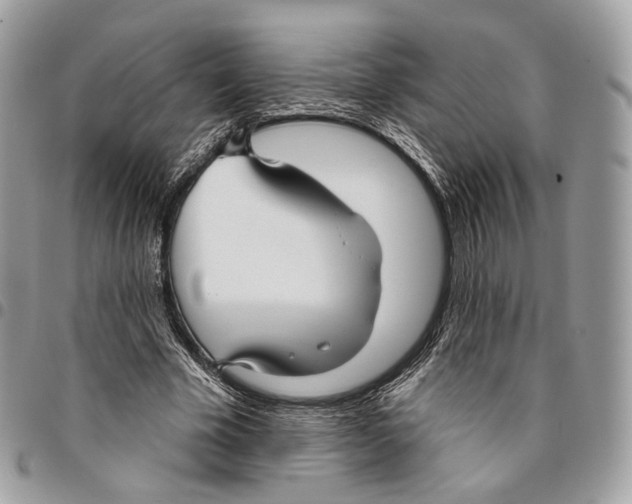 X0000095900585200802081142