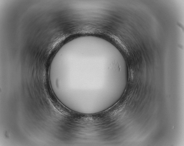 X0000095900588200802081142