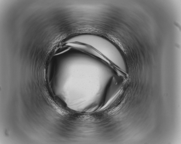 X0000095900589200802081142