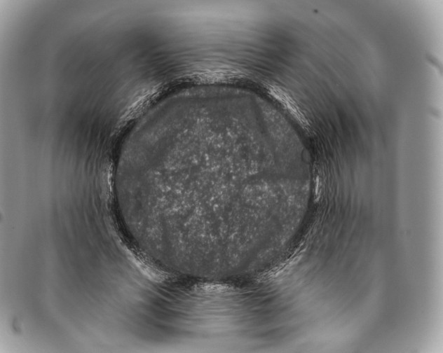 X0000095900590200802081142