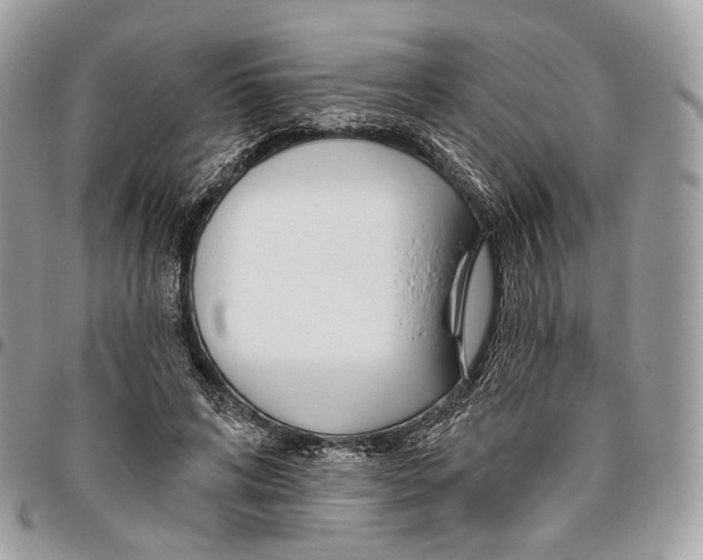 X0000095900592200802081142