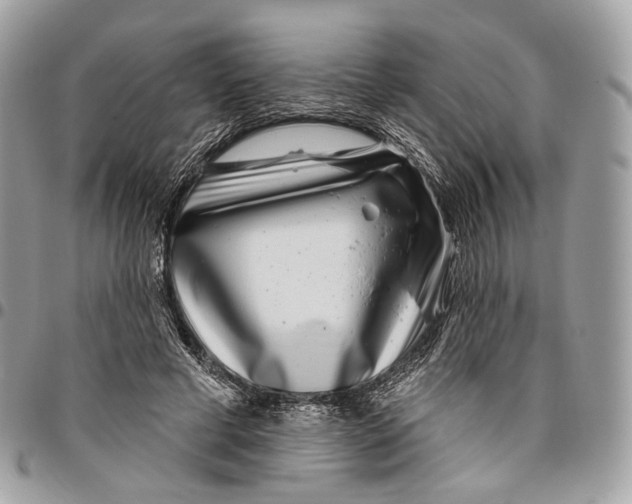 X0000095900593200802081142