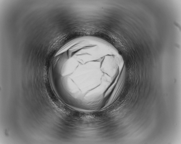 X0000095900594200802081142