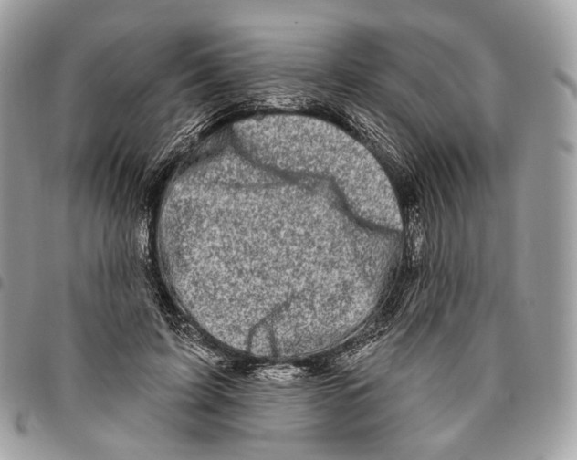 X0000095900595200802081142