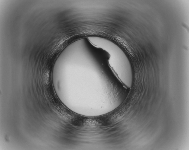 X0000095900596200802081142