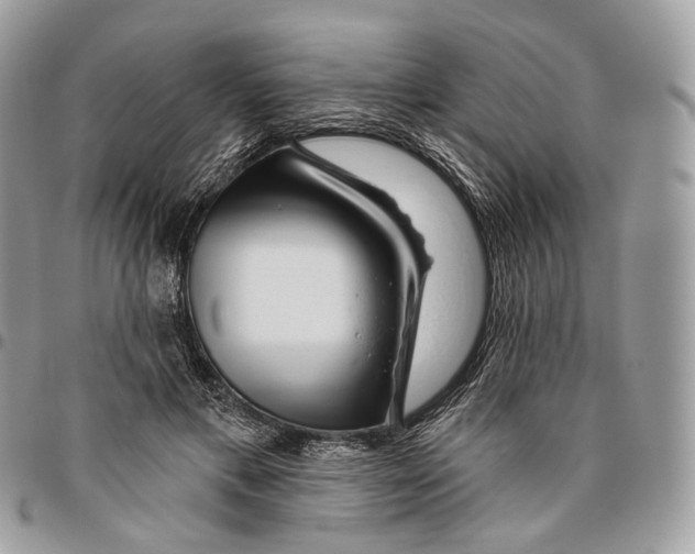 X0000095900597200802081142