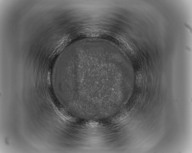 X0000095900598200802081142