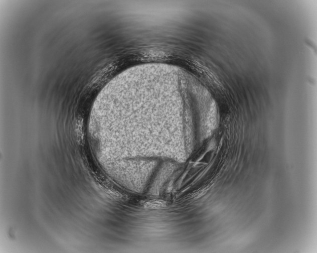 X0000095900599200802081141