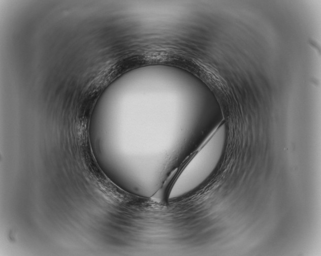 X0000095900601200802081141