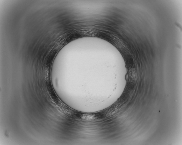 X0000095900602200802081141