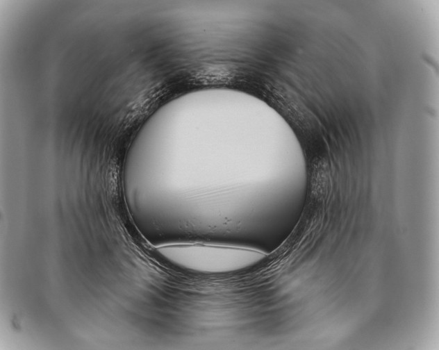 X0000095900604200802081141