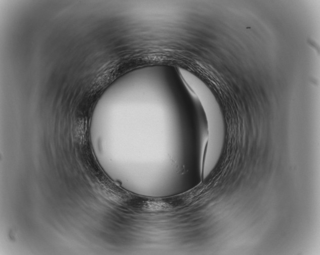 X0000095900605200802081141