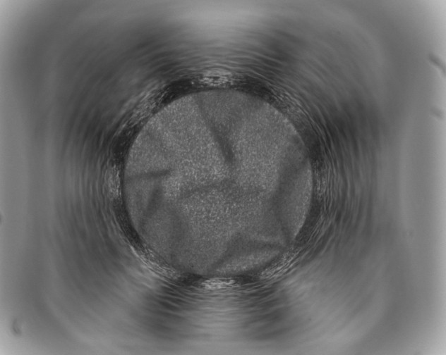 X0000095900606200802081141