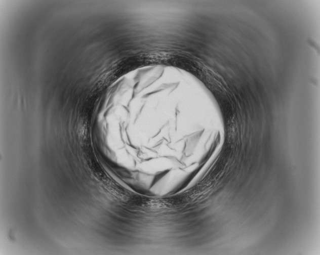 X0000095900608200802081141