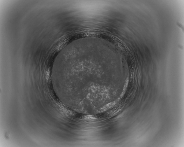 X0000095900610200802081141