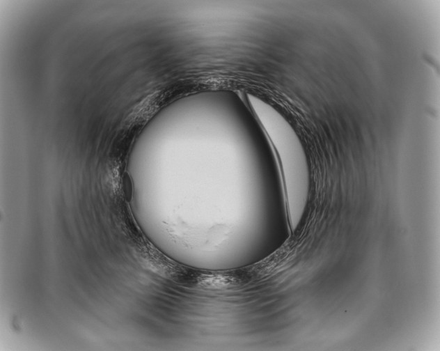 X0000095900611200802081141