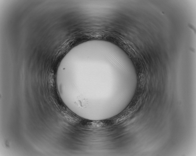 X0000095900612200802081141