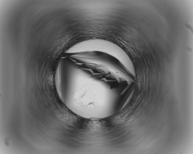 X0000095900613200802081141