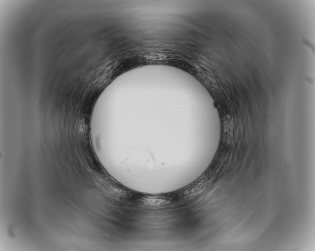 X0000095900614200802081141