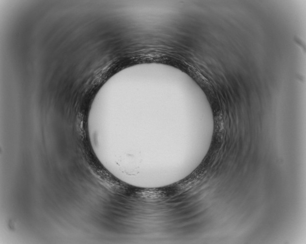 X0000095900615200802081141