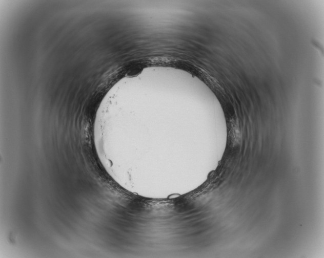 X0000095900619200802081141