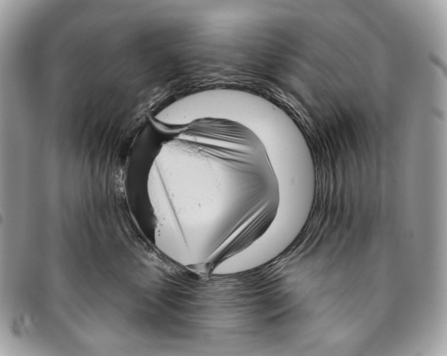 X0000095900621200802081141