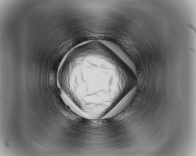 X0000095900623200802081141