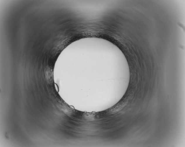 X0000095900624200802081141