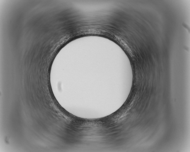 X0000095900625200802081140