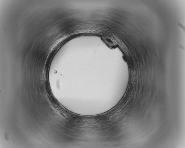 X0000095900628200802081140