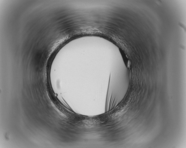 X0000095900630200802081141