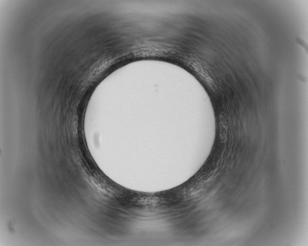 X0000095900631200802081141