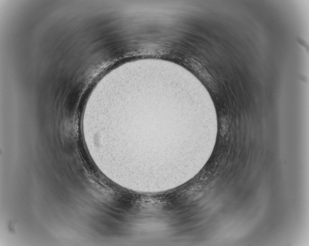 X0000095900632200802081141