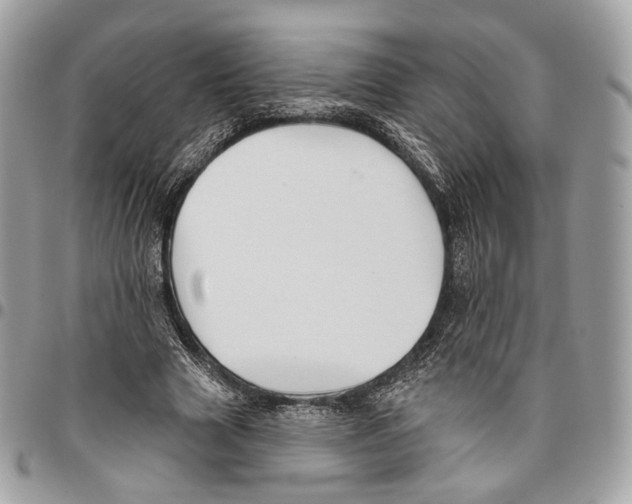 X0000095900633200802081141