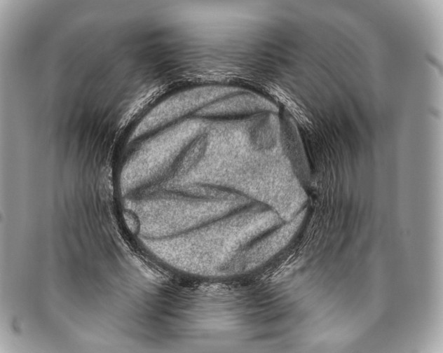 X0000095900634200802081141