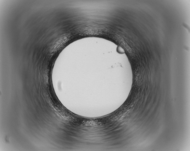 X0000095900635200802081141