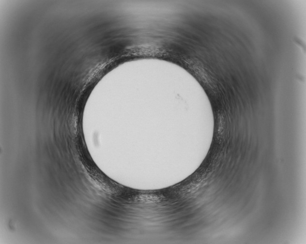 X0000095900636200802081141