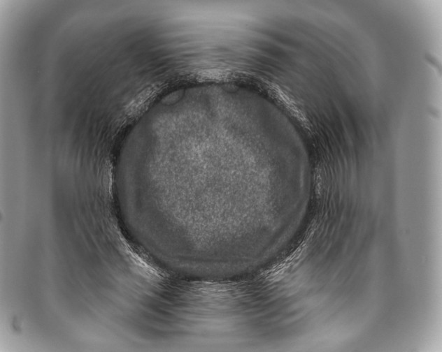 X0000095900637200802081141