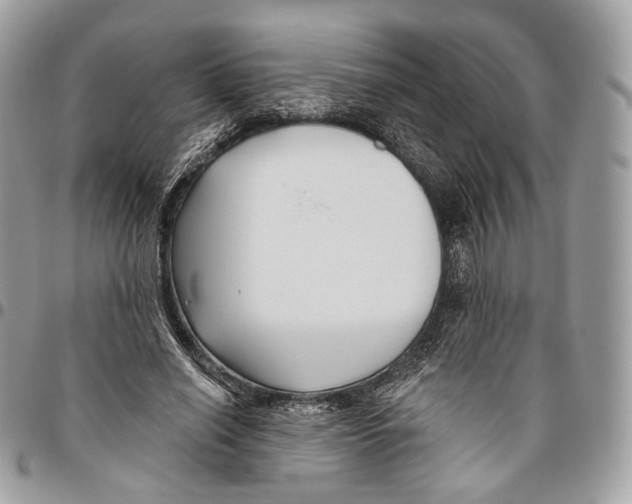 X0000095900638200802081141