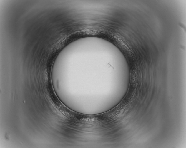 X0000095900639200802081141