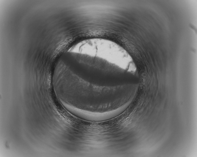 X0000095900640200802081141