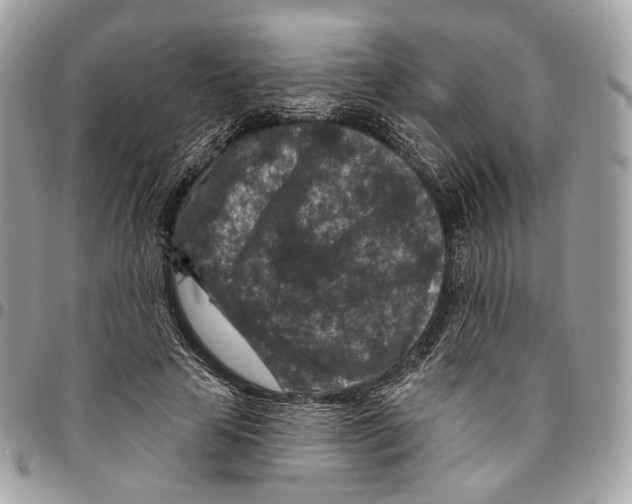 X0000095900641200802081141