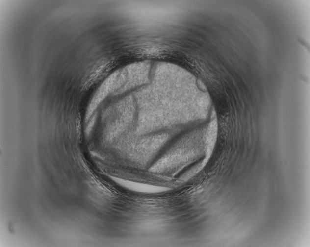 X0000095900642200802081141