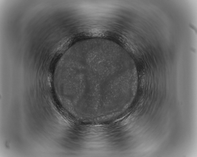 X0000095900643200802081141