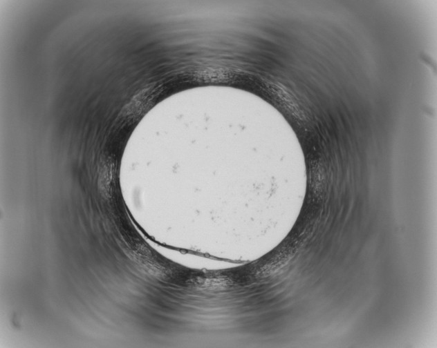 X0000095900645200802081141